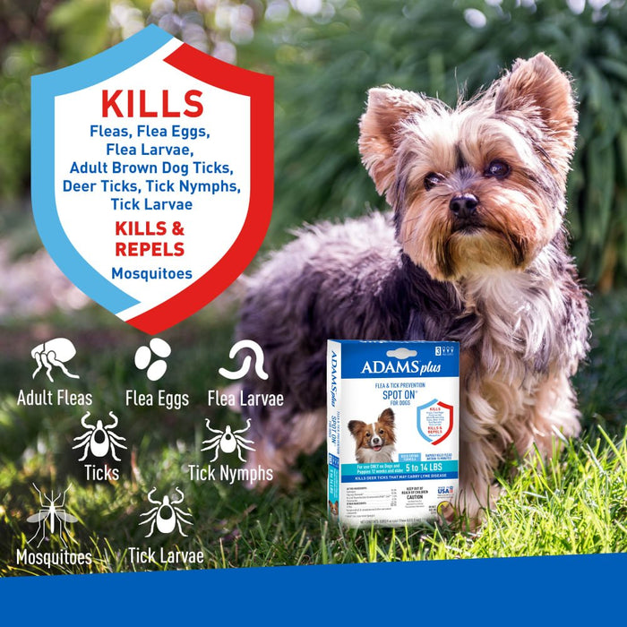 ADAMS Plus Flea & Tick Prevention Spot On for Dogs - FAAAS - Small Dog 5 to 14 lbs - 3 pk (3 Month Supply) - 9