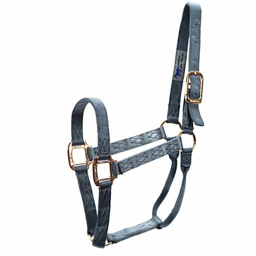 Adjustable 1" Nylon Horse Halter - MBTF - Grey/Blue - 1"W (8" - 11") - 1 - 1