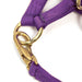 Adjustable Miniature Horse Halter with Throat Snap - 3/4" Nylon - MBSK - Purple / Wine - Miniature Horse - 1 - 2