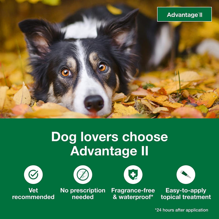 Advantage II for Dogs - Jeffers - Animal Health & Wellness > Flea & Tick Control