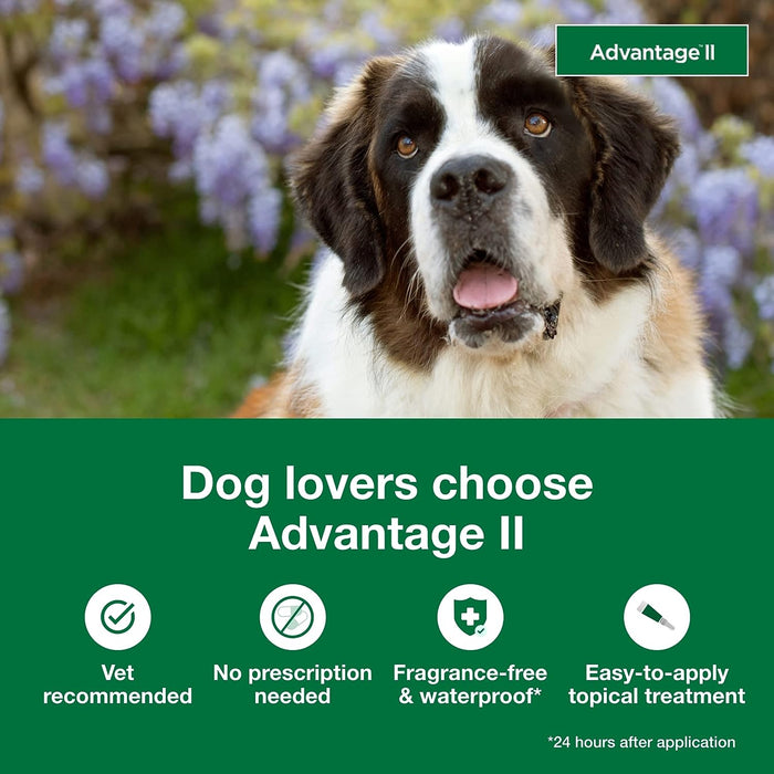 Advantage II for Dogs - Jeffers - Animal Health & Wellness > Flea & Tick Control