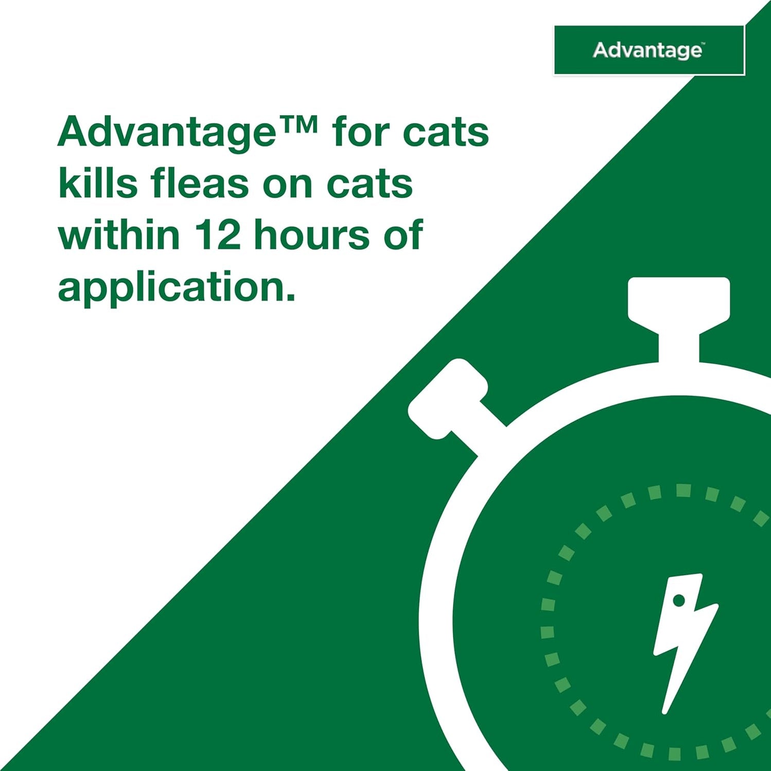 Photo inspiration: Advantage Topical Flea Protection For Large Cats 2 Pack Photo Inspiration