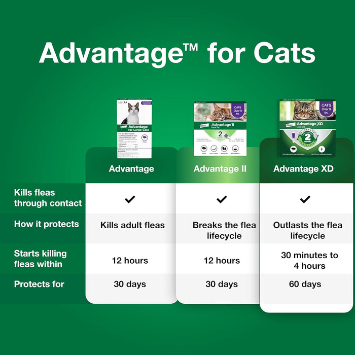 Advantage Topical Flea Protection for Cats, 2 pk - E84B - Large Cats (Over 9 lbs) - 2 pk (2 Monthly Doses) - 3