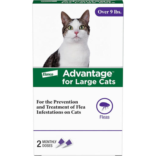 Advantage Topical Flea Protection for Cats, 2 pk - E84B - Large Cats (Over 9 lbs) - 2 pk (2 Monthly Doses) - 1