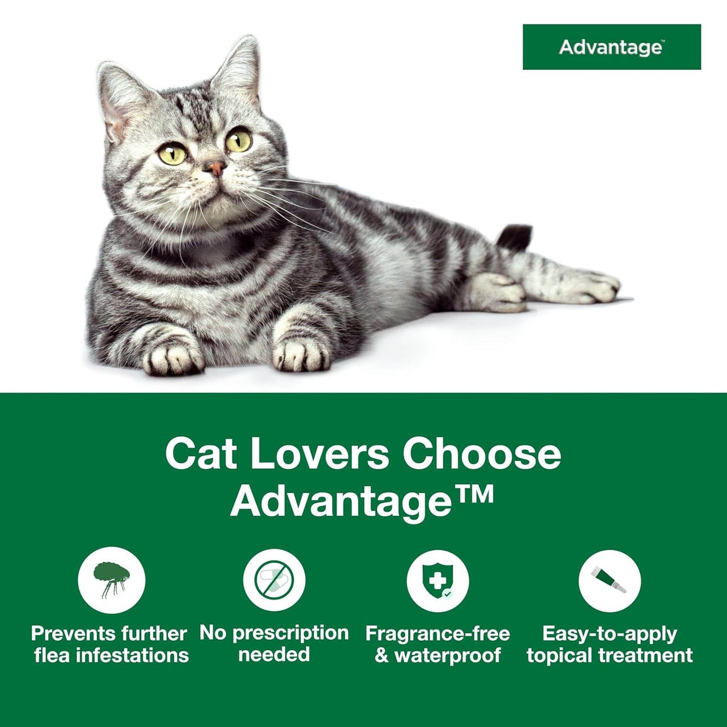 Fresh Look at Advantage Topical Flea Protection For Large Cats 2 Pack