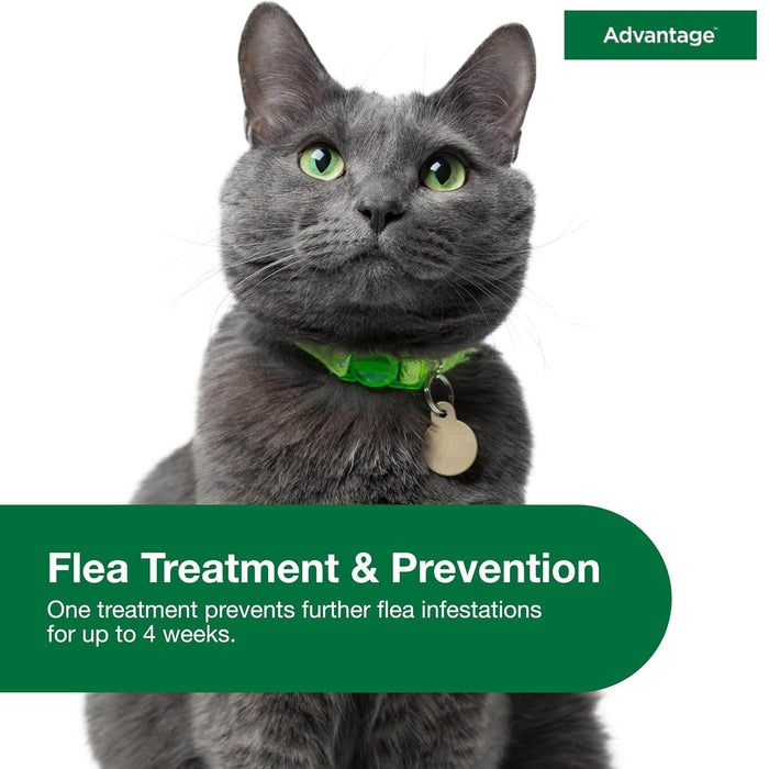 Advantage Topical Flea Protection for Cats, 2 pk - E84B - Large Cats (Over 9 lbs) - 2 pk (2 Monthly Doses) - 5