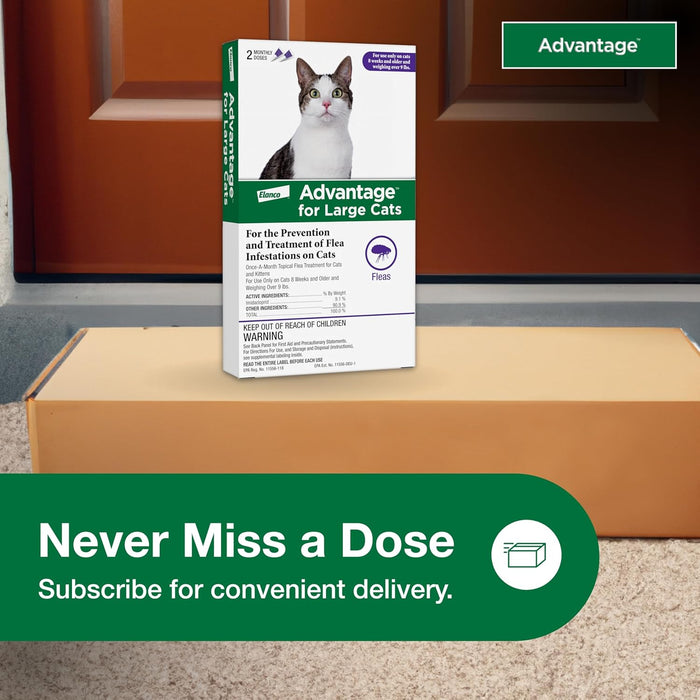 Advantage Topical Flea Protection for Cats, 2 pk - E84B - Large Cats (Over 9 lbs) - 2 pk (2 Monthly Doses) - 10