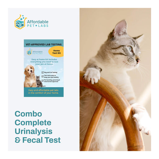 Affordable Pet Labs - Combo Complete Urinalysis & Fecal Test For Cats, Easy Home Kit - AF214 - 1