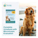 Affordable Pet Labs - Complete Urinalysis with Microscopic Evaluation For Dogs, Easy Home Kit - AF219 - 1