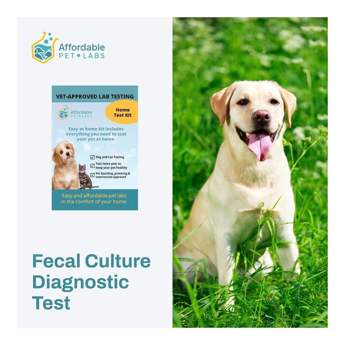 Affordable Pet Labs - Fecal Culture Diagnostic Test For Dogs, Easy Home Kit - AF21J - 1