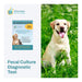 Affordable Pet Labs - Fecal Culture Diagnostic Test For Dogs, Easy Home Kit - AF21J - 1
