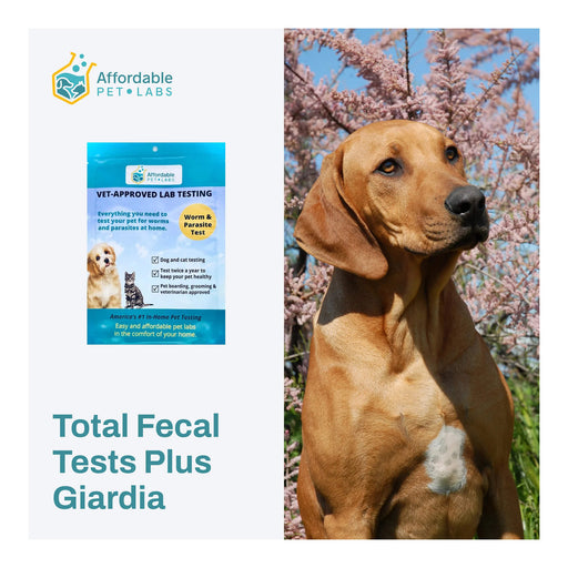Affordable Pet Labs - Total Fecal Tests Plus Giardia For Dogs & Cats, Easy Home Kit - AF211 - 2