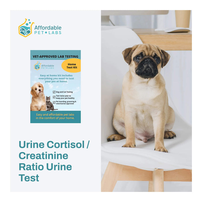 Affordable Pet Labs - Urine Cortisol / Creatinine Ratio Urine Test For Dogs, Easy Home Kit - AF21E - 1