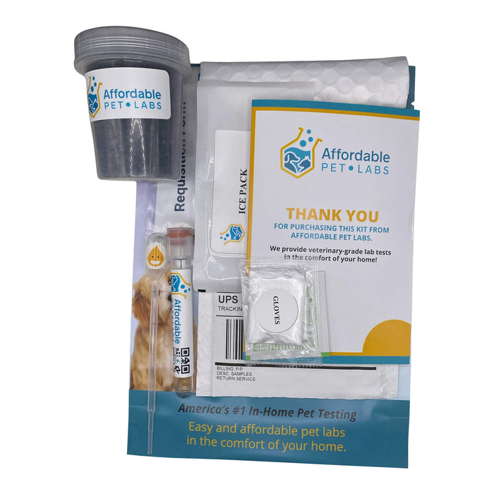 Affordable Pet Labs - Urine Culture For Cats, Easy Home Kit - AF217 - 4