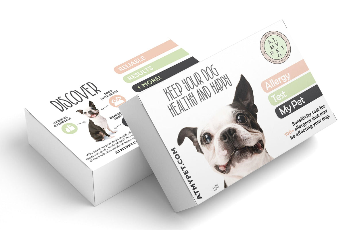 Allergy Test My Pet Sensitivity Test for Dogs — Jeffers