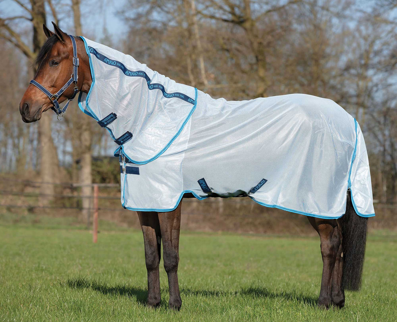 Fly Sheets for Horses