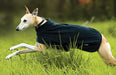 Amigo Fleece Dog Blanket - Jeffers - Dog Supplies > Dog Apparel