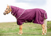 Amigo Hero Ripstop Plus Turnout, Fig/Navy - Jeffers - Horse Supplies > Horse Blankets & Sheets