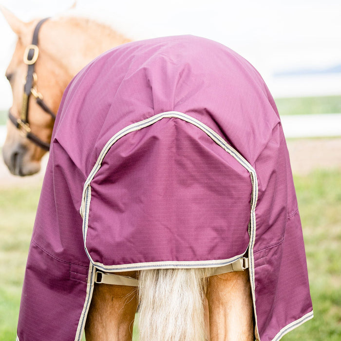 Amigo Hero Ripstop Plus Turnout, Fig/Navy - Jeffers - Horse Supplies > Horse Blankets & Sheets