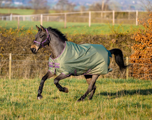 Amigo Hero Ripstop Turnout Sheet, Bramble/Winterberry - Jeffers - Horse Supplies > Horse Blankets & Sheets