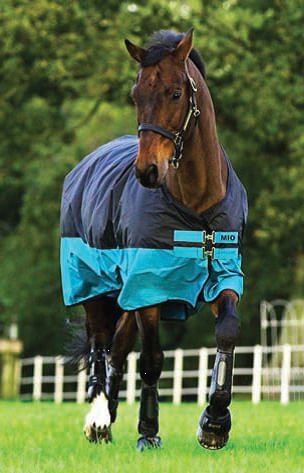 Amigo Mio 600D Horse Turnout Sheet - FO0A - Black/Turquoise - 66 in - 1