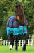 Amigo Mio 600D Horse Turnout Sheet - FO0A - Black/Turquoise - 66 in - 1