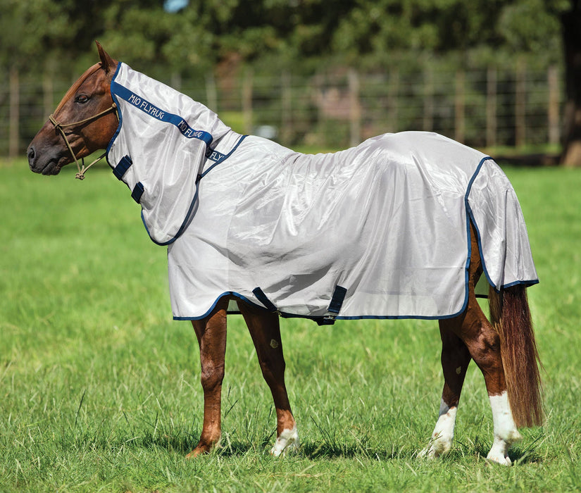 Amigo Mio Horse Fly Sheet - Jeffers - Animal Health & Wellness > Fly & Insect Control