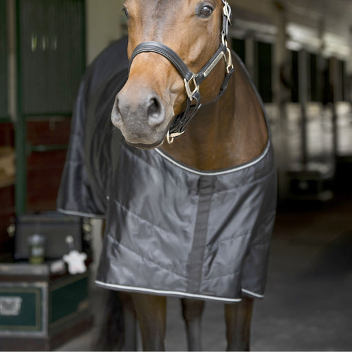 Amigo Quarter Horse Stable Blanket 210D Ripstop, 100g or 200g Fill, Stocky Build Fit - FOXBP - Black - 68" - 100 Gram - 2