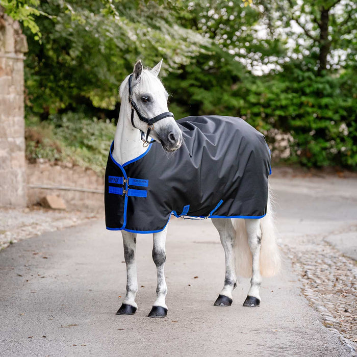 Amigo Ripstop 900 Denier Lightweight Turnout Sheet for Horses - FOXA8 - Black - 66" - 1