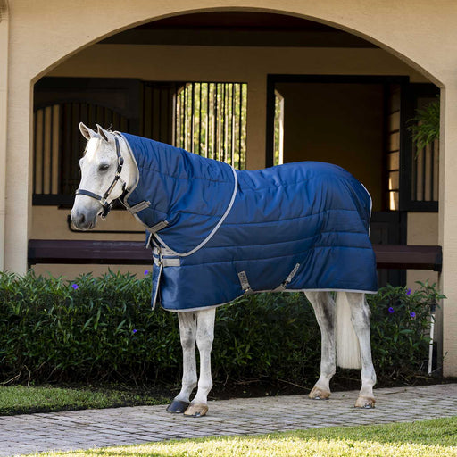 Amigo Stable Blanket Ripstop Insulator Plus - 210D, 200g Warmth, Double Front Closure, Hood Included - FOXB6 - Navy - 66" - 1