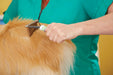 Andis Dematting Rake - Jeffers - Animal & Pet Supplies > Pet Grooming > Pet Combs & Brushes