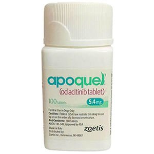 Oclacitinib apoquel best sale