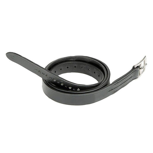 Aviemore Stirrup Leathers with Curve Buckles - SEP27K - Black - 1