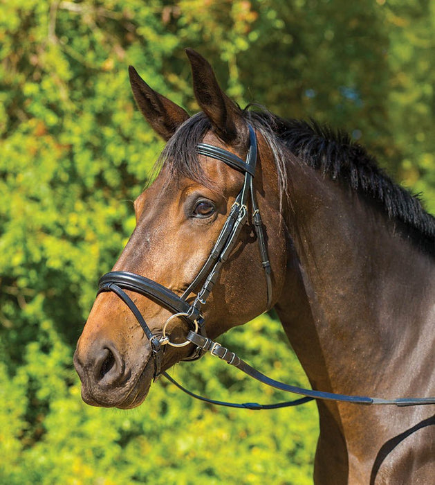 Avignon Aspen Dressage Bridle - SEP26K - Black - Pony - 1