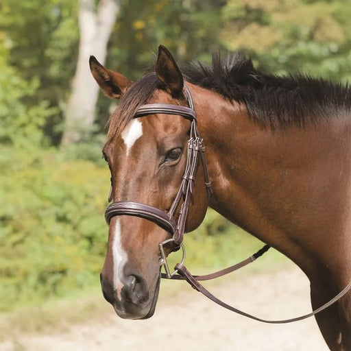 Avignon Wellington Bridle - SEP26E - Havana - Pony - 1
