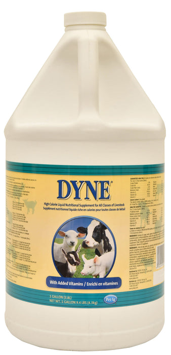 Dyne High Calorie Liquid for Livestock - Dyne High Calorie Liquid for Livestock, gallon  