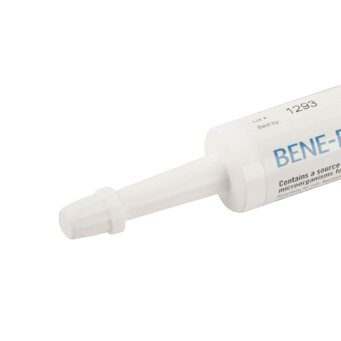 Bene-Bac Plus - 15 gram Bene-Bac Plus Gel, (syringe)  