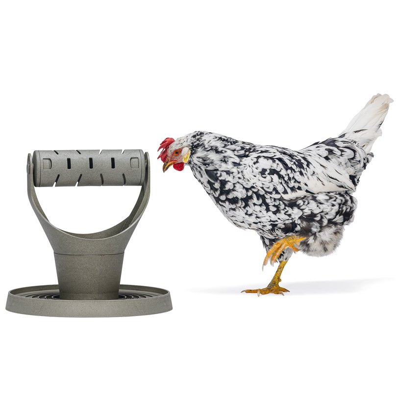 Backyard Chicken Feed Tower for Exercise and Mental Stimulation — Jeffers