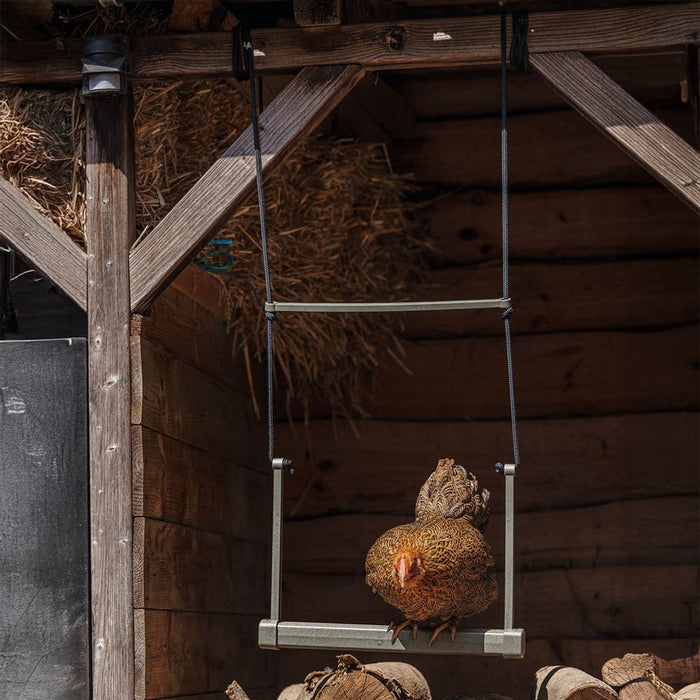 Backyard Chicken Swing – Durable, Recycled Material for Flock Activity - GAUER - 3