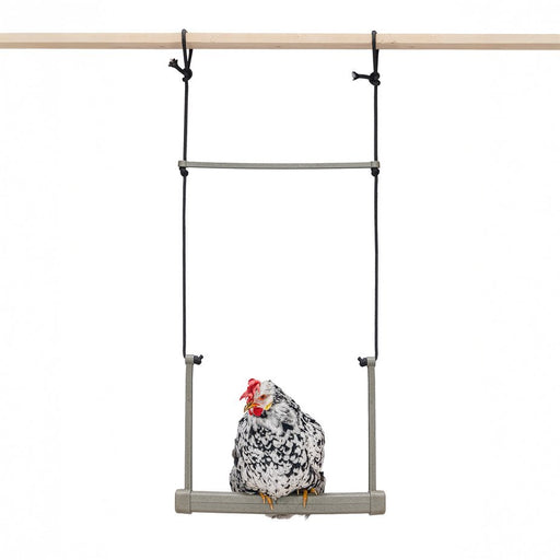 Backyard Chicken Swing – Durable, Recycled Material for Flock Activity - GAUER - 1