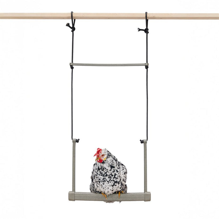Backyard Chicken Swing – Durable, Recycled Material for Flock Activity - GAUER - 1