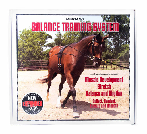 Balanced Training Set - Jeffers - Horse Supplies > Horse Supplies