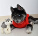 Plush Squeaky Dog Toys - Plush Dog Squeaky Toy, Gray/White  