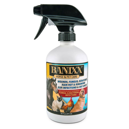 Banixx Horse & Pet Care Antibacterial & Antifungal Spray - SHEB1 - 16 oz - 1