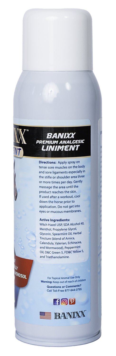 Banixx Premium Spray Liniment - Jeffers - Animal Health & Wellness > Medicine