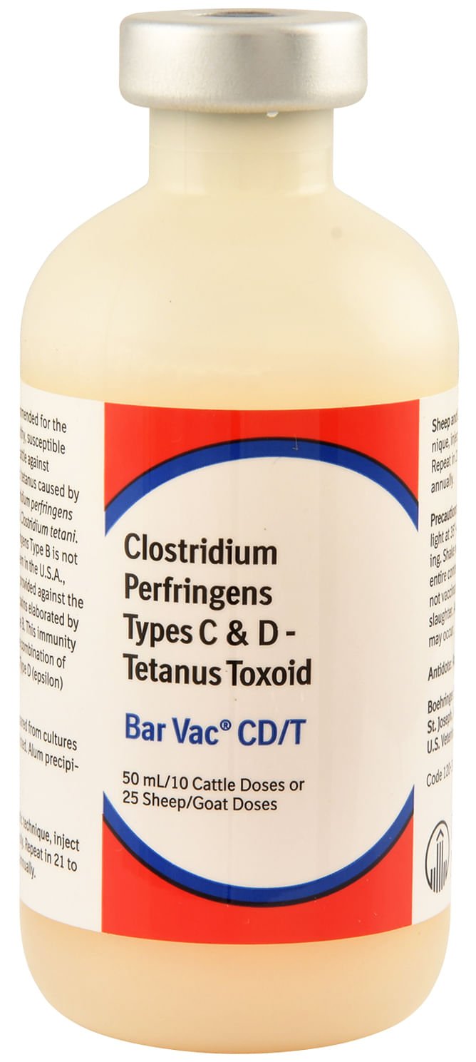 Tetanus Vaccines for Cattle