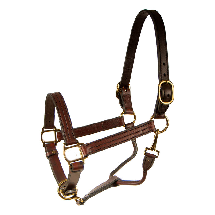 Berlin Track Leather Halter, 1" - Berlin 1" Track Leather Halter, Yearling size  