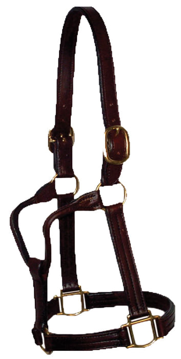 Berlin 1-1/8" Amish Handmade Leather Halter - Berlin 1-1/8" Track Leather Halter, Oversize  