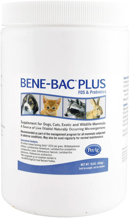 Bene - Bac Plus - Jeffers - Animal Health & Wellness > Vitamins & Supplements