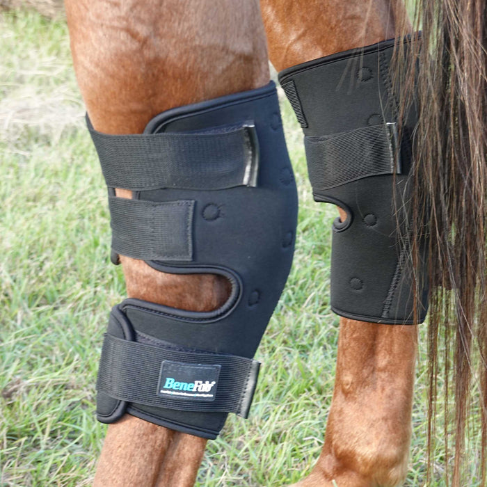 BeneFab Rejuvante Smart Hock Boots, Black - Jeffers - Horse Supplies > Horse Boots & Leg Wraps